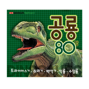 [담터미디어] NEW Flashcard 공룡 80장 1